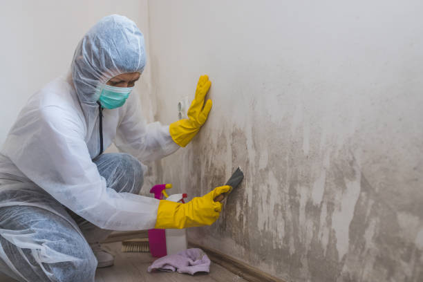 Best Crawl Space Mold Removal  in Kingstown, MD
